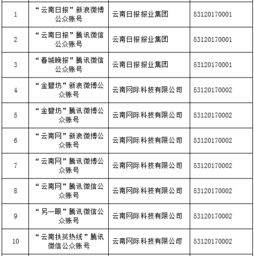 云南信息報旗下六產品獲首批互聯網新聞信息服務許可，賦能區域信息服務新格局
